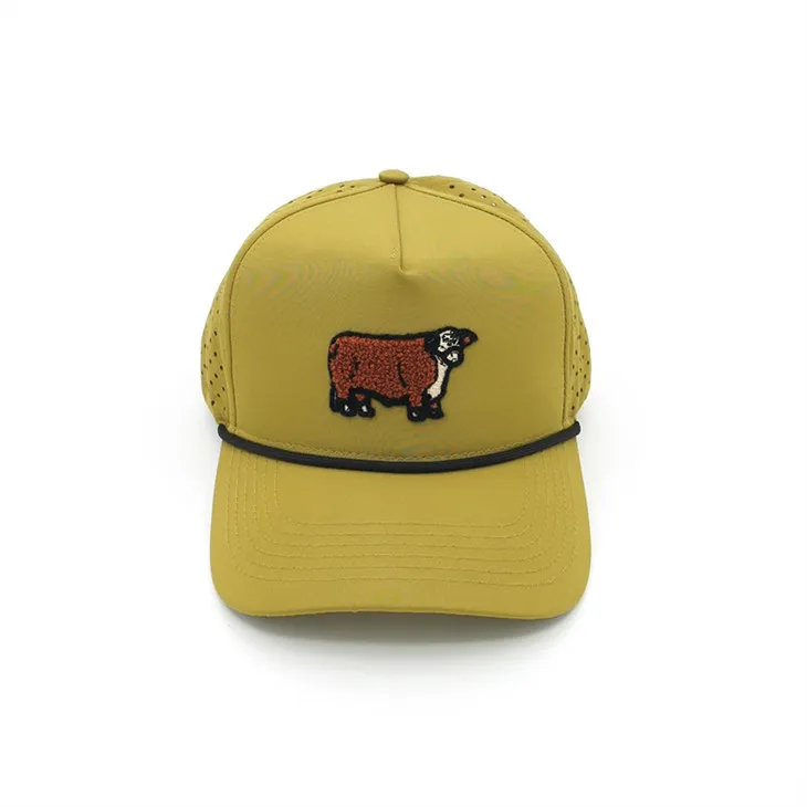 Şapci de designer elegante